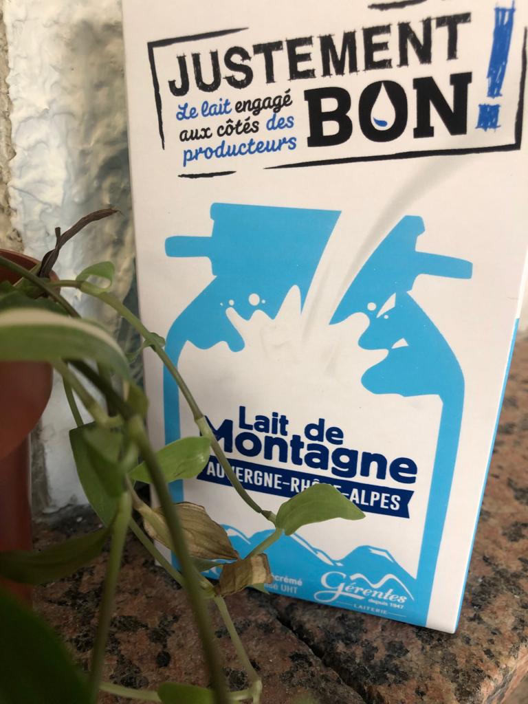 Ferme vaches